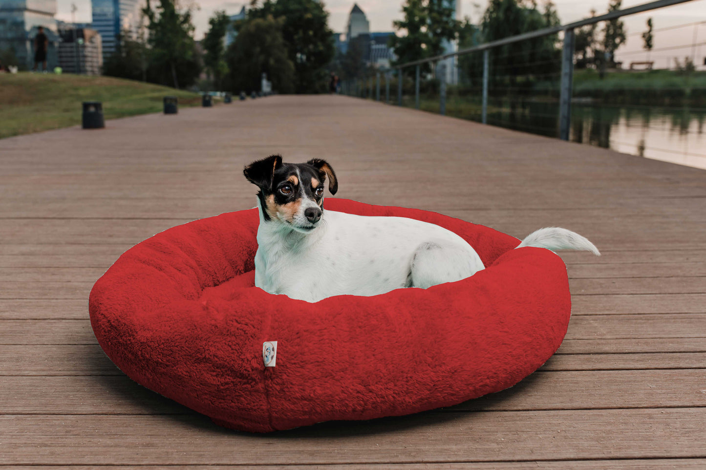 CAMA DONA 50 CM VARIEDAD COLORES FRANIMAL SHOP