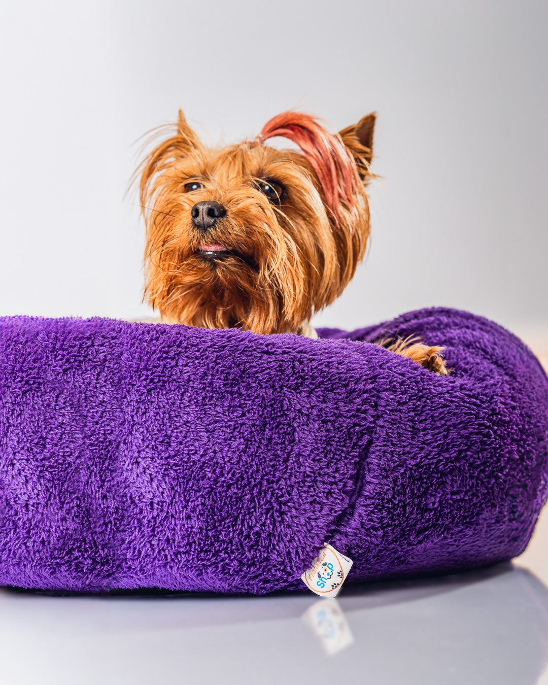 CAMA DONA 50 CM  VARIEDAD COLORES FRANIMAL SHOP