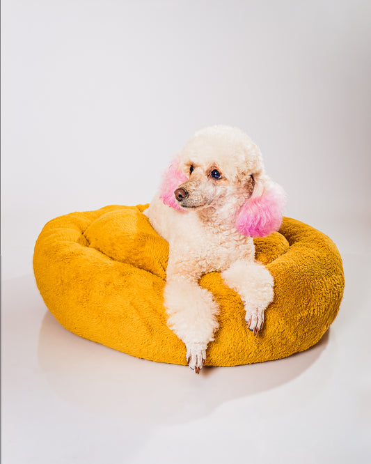 CAMA DONA 70 CM  VARIEDAD COLORES FRANIMAL SHOP