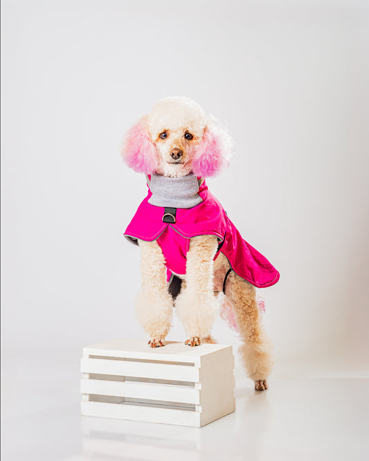 CHAQUETA NOT RAIN FUCSIA