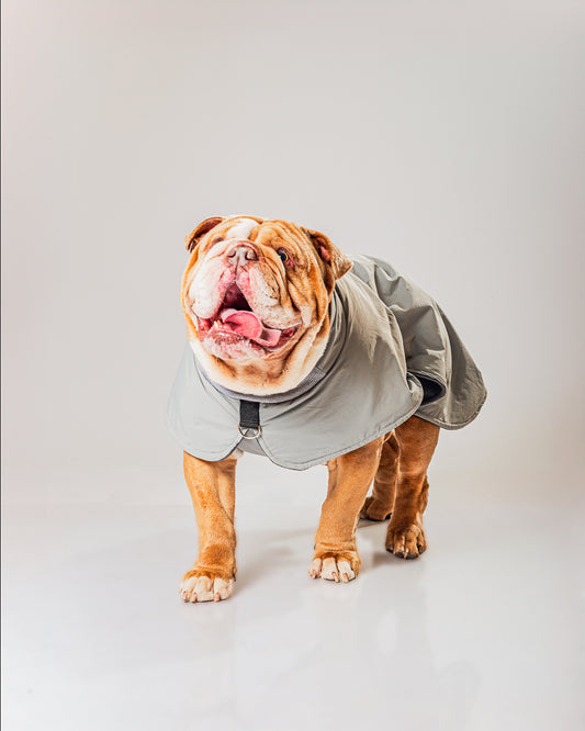 CHAQUETA NOT RAIN GRIS