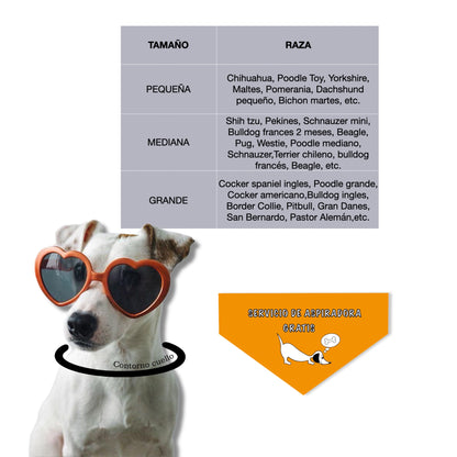 PAÑOLETA DICIOCHERA